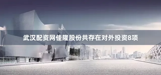 武汉配资网佳隆股份共存在对外投资8项